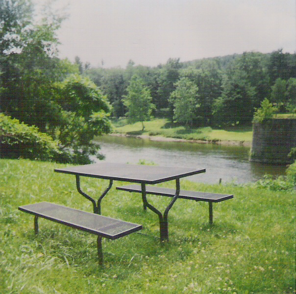 picnic.jpg